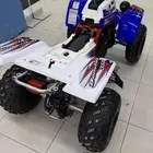 بانشي 2011 أصل