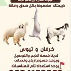 عرض ذبايح بلديه بالانصاف والارباع