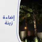 اضاءات نخيل تعمل بالطاقة الشمسية بدون اي تمديدات