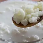 حبيبات كيفر (Kefir )