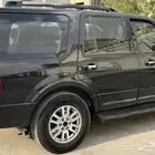 اكسبيدشن 2010 م