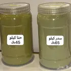 حنا لميس