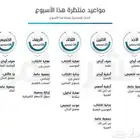 ميزانية داخلية غير معتمدة