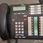 فني نورتال مريدبان افايا باناسونيك نيتسكو