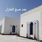 لياسةملونة بديل الحجر معامادة عازلة