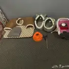 مستلزمات قطة