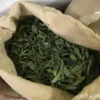 ملوخية مجففه