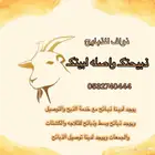 رخال - خرفان - تيوس -