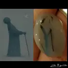 فص عقيق مصور نادر