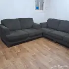 كنب زيتي من ايشلي