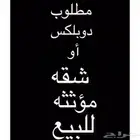 مطلوب دوبلكس شقه مؤثثه للبيع جديد