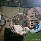 مرجيحه عش البلبل بحاله جيده جدا الأحساء العمران