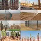 مقاول شبوك ونخل