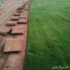 تنسيق حدائق تيل طبيعي