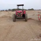 الليث غميقه