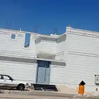 لياسه بالاسمنت الأبيض للواجهات بديل الحجر