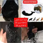 شبك صيد دخل