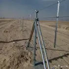 شبوك ونخيل وأشجار زيتون