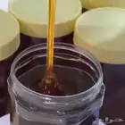عسل السدر الأصلي