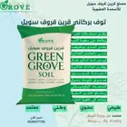 الحجر البركاني