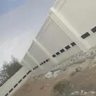 لياسه ملونه وديكورات خارجيه