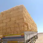 تبن قمح شد جندير ناعم