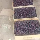 يوجد لدينا صفاوي الكميه 450كرتون الوزن 20 السعر 5ريال الكيلو