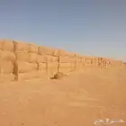 العلاف تبن قمح بالات كبيره
