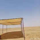 مضلات الإبل