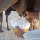 خلفه هديه مسوح ما تحرك بالحمض تم البيع