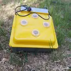فقاسة بيض تماتيك