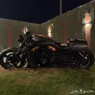 هارلي ديفدسون v-rod