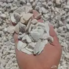 خرصان ابيض صافي
