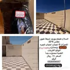 شبكه طيور