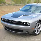 لحية تشالنجر قصيرة