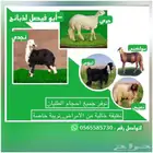 ذبايح