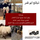 للبيع اغنام