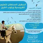 تعليم وتدريب ركوب الخيل والفروسية