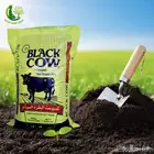 سماد بقري سماد دواجن بتموس بيرلايت جبس زراعي كبريت