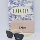 نظارات ماركات