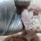 قطع صدور دجاج