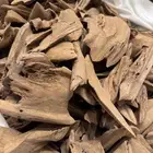 عود مروكي اصقون تربل ودبل لمحبي النكهة المروكيه القديمه