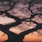 لوحة جدارية مضيئة