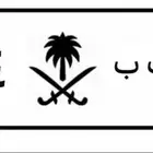 لوحة خصوصي د ب ب 304