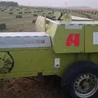 لابانه للبيع
