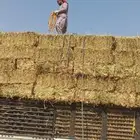 جميع انواع الاعلاف