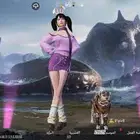 حساب ببجي للبدل