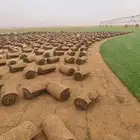 ثيل طبيعي سي الفين