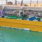 قارب للبيع