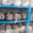 جير بكسات قيرات دبلات قير عادي كرونة دفرنس